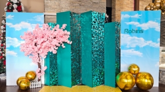 robins to go wizard of oz